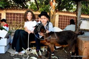  La romería de San Miguel Arcángel seduce a Telde (Foto Antonio Alí)